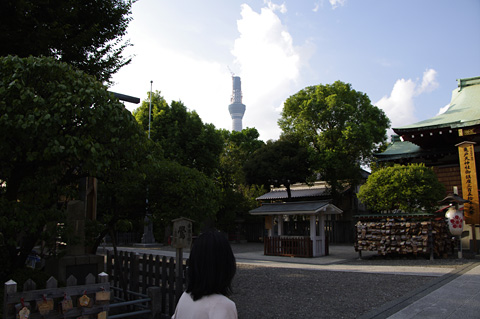 亀戸天神社から見えるスカイツリー